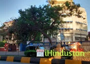 Spring Buds International Preschool, Juhu - Logo