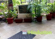 Spring buds International School, Thane - Logo