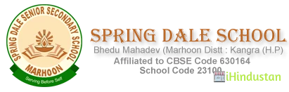 Spring Dale Senior Secondary School - Logo
