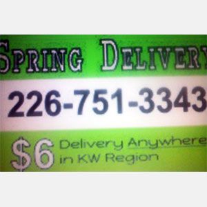 Spring Delivery - Logo