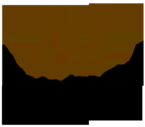 Spring Valley Transport Inc. - Logo