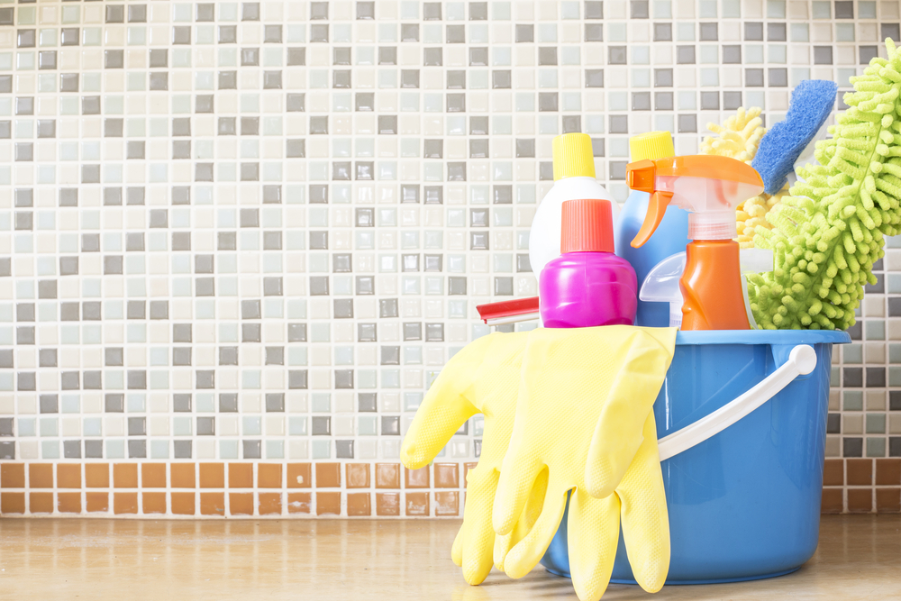 Squeaky Clean Home Cleaning Services - Logo