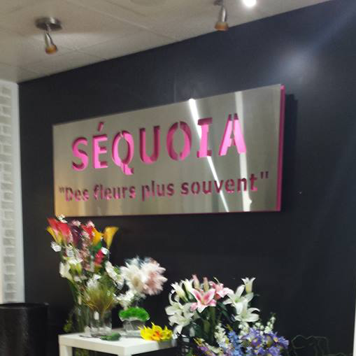 Séquoia Fleuriste - Logo