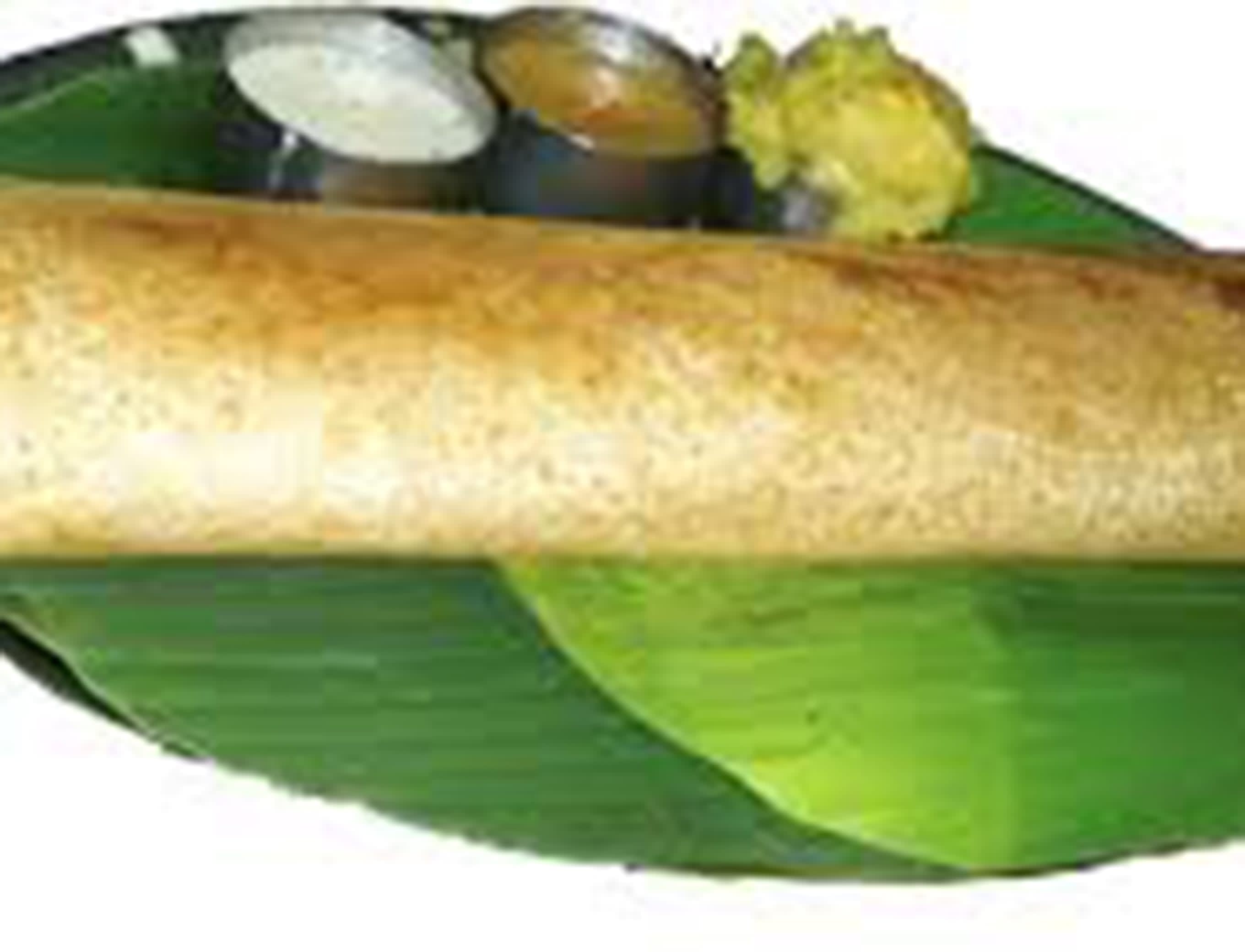Sri Dhakshina - Logo