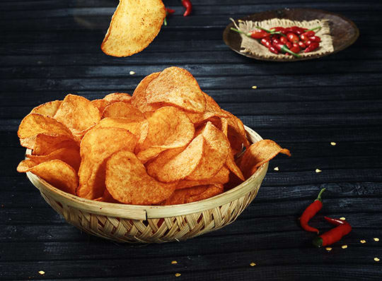 Sri Gajanana Hot Chips And Condiments - Logo