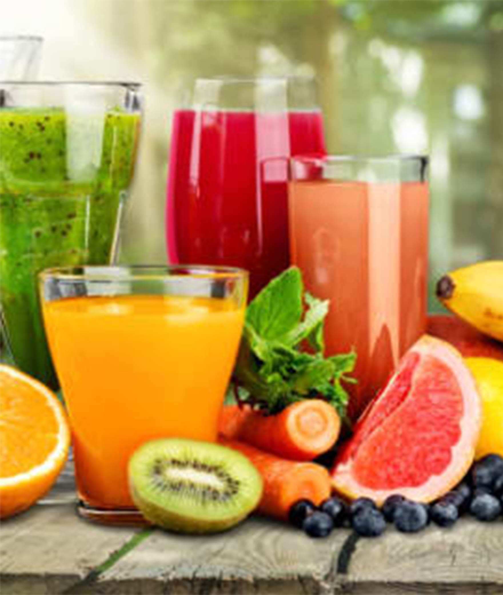 SRI GURU THE JUICE SHOP - Logo