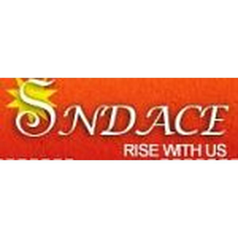 Sri Narayan Das Agrawal College of Education (SNDACE) - Logo