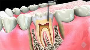 Sri Ramakrishna Dental Clinic - Cover photo