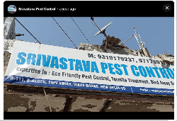 Srivastava Pest Controls - Logo