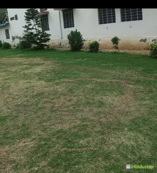S. S. G. Pareek P.G. College of Education Jaipur - Logo