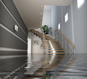 Stain Busters Carpet Cleaning Canberra - Logo