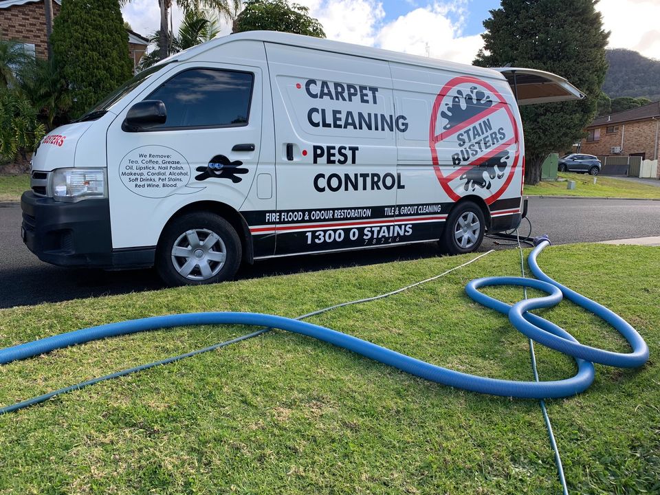 Stain Busters Carpet Cleaning & Pest Control - Logo