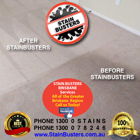 Stain Busters Bendigo - Logo