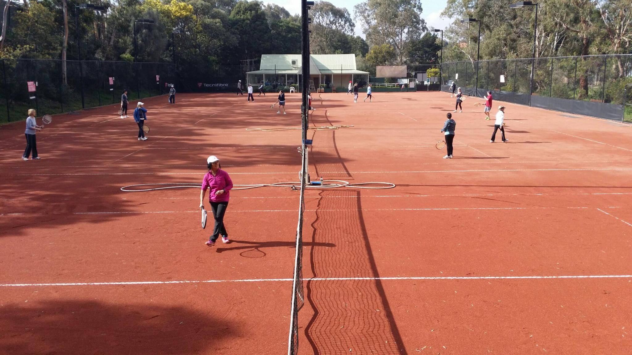 St Andrew's Gardiner Tennis Club - Logo