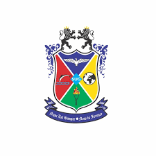 Starex University (Starex University) - Logo