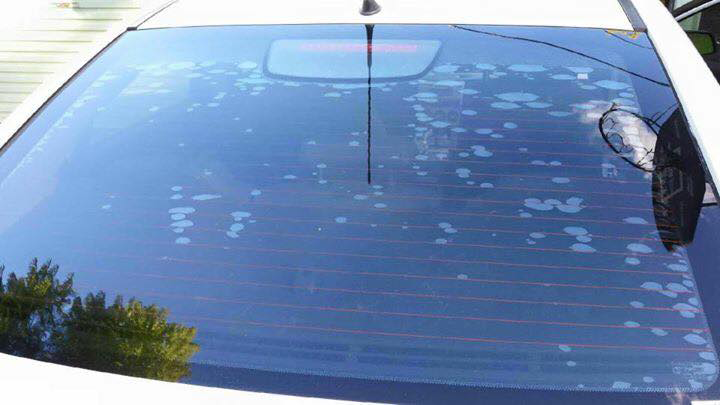 Staunch Window Tinting - Cover photo