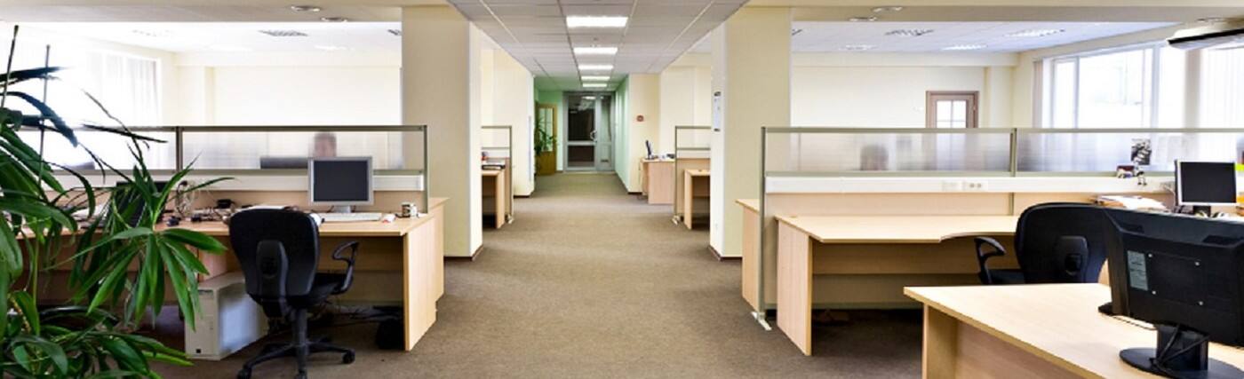 Steam Carpet Cleaning Brisbane - Logo