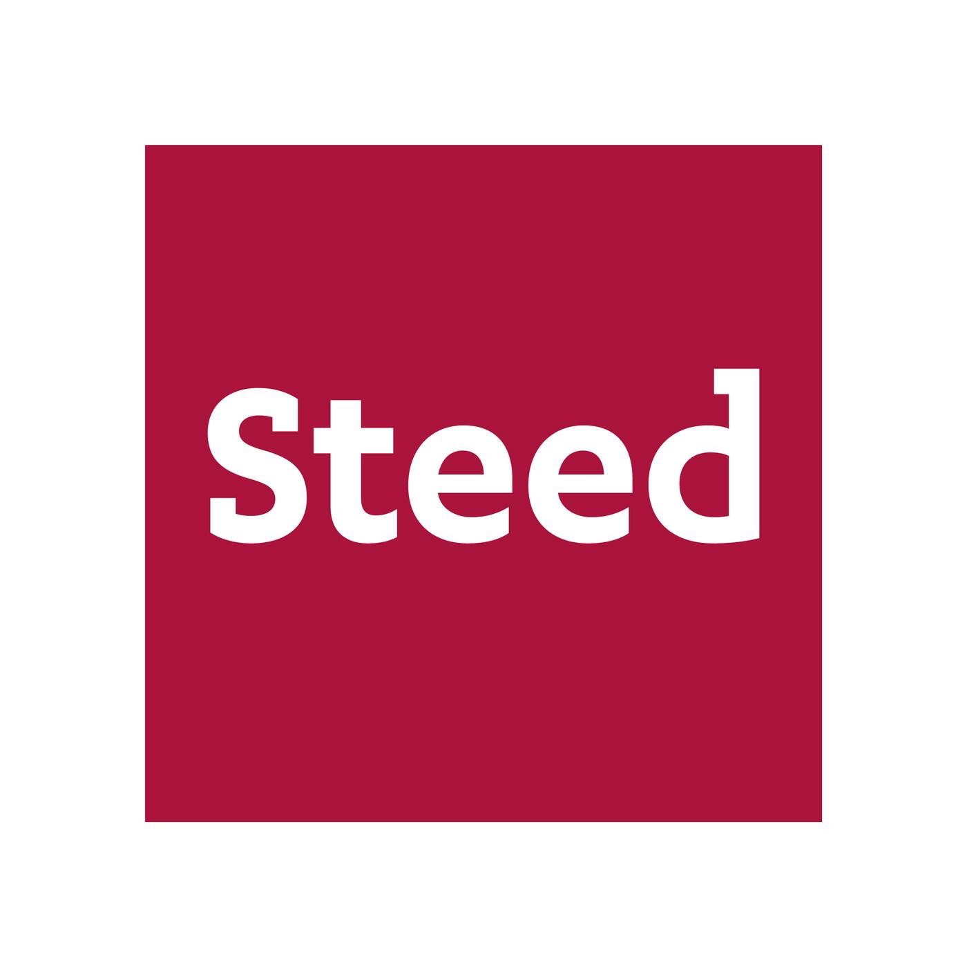 Steed Surveyors + Land Divisions - Logo