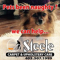Steele Carpet Cleaning - Cover photo