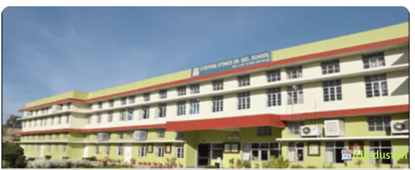 Stepping stones senior secondary school - Logo