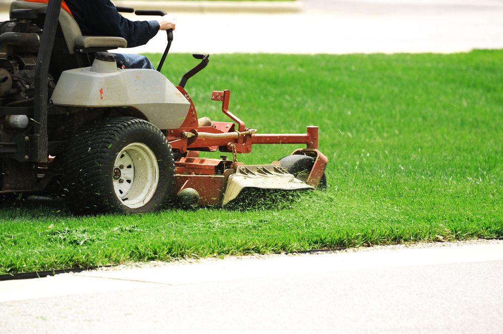 Steve Masters Mowing & Maintenance - Logo