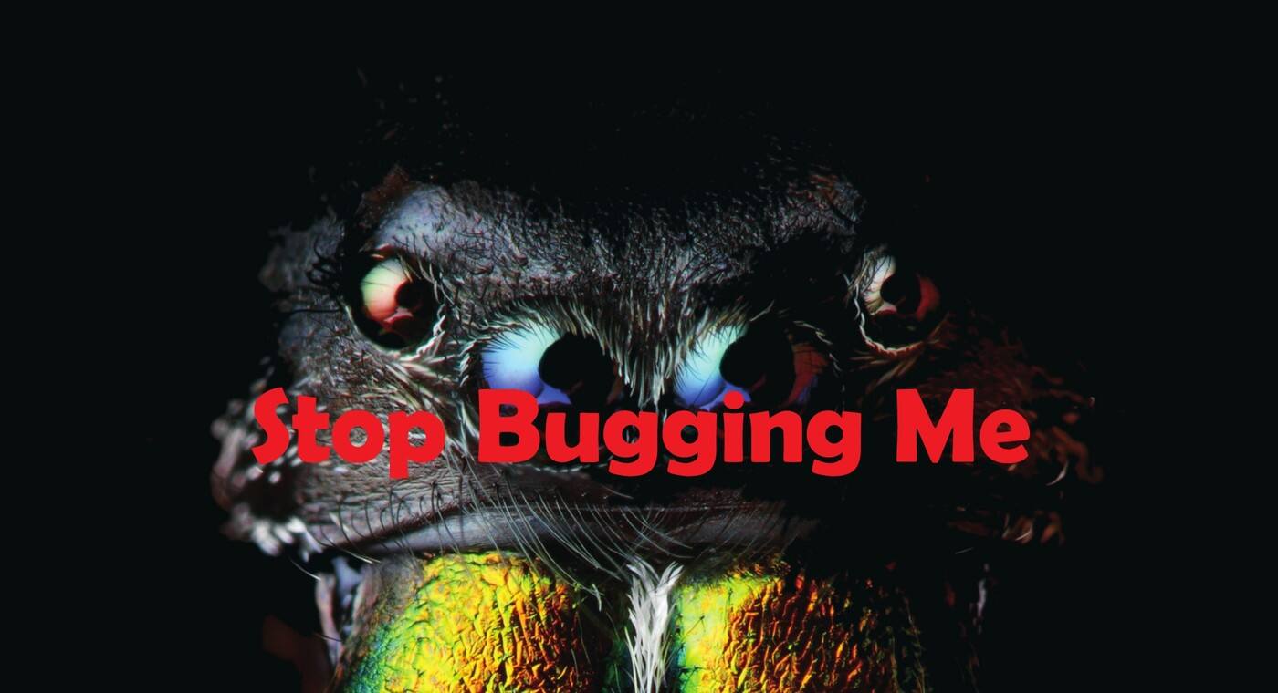 Stop Bugging Me Pest Control - Cover photo