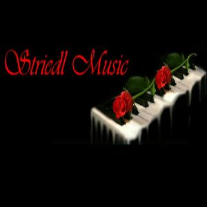 Striedl Music - Logo