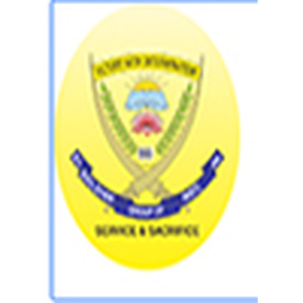 St. Soldier Group Of Institutions (SSDC), Jalandhar - Logo