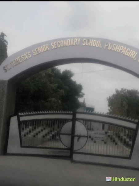 St. Teresa's Senior Secondary School - Logo