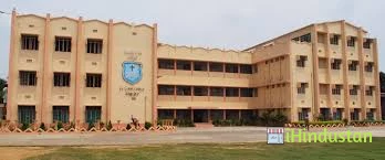 St. Theresa's English Medium School - Logo