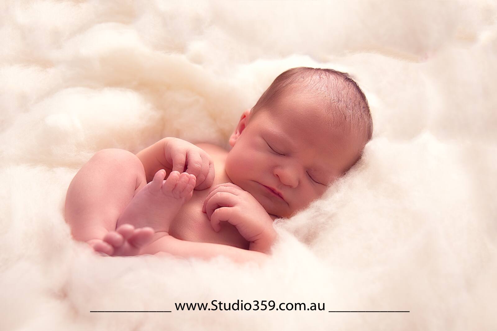 Studio 359 - Logo