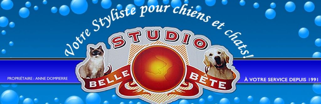 Studio Belle Bête - Logo