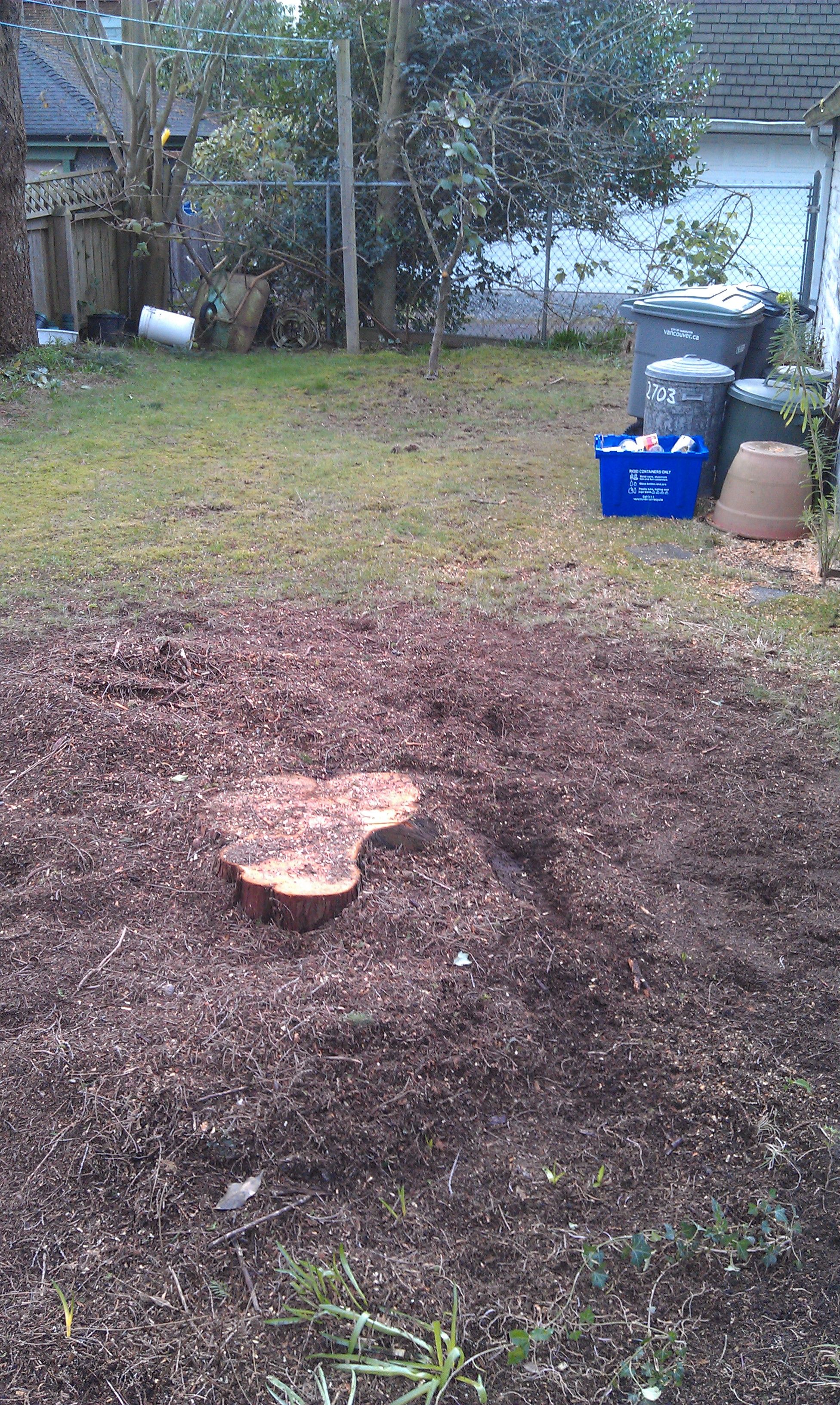 Stump Buster - Logo