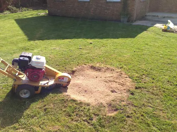 Stumpie Stump Grinding - Logo