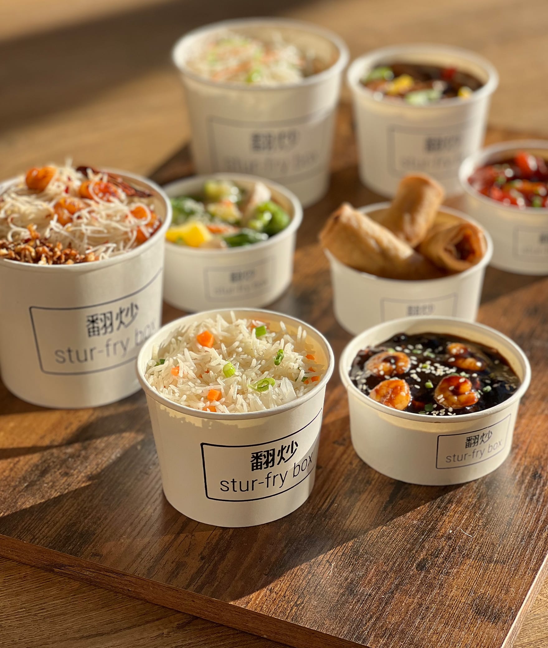 Stur Fry Box - Logo