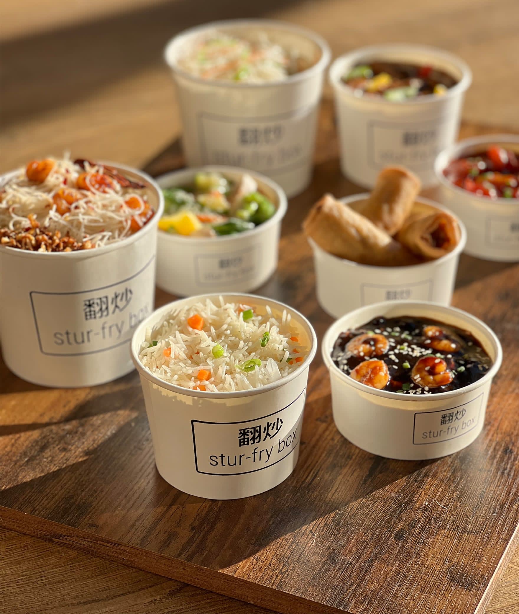 Stur Fry Box - Logo