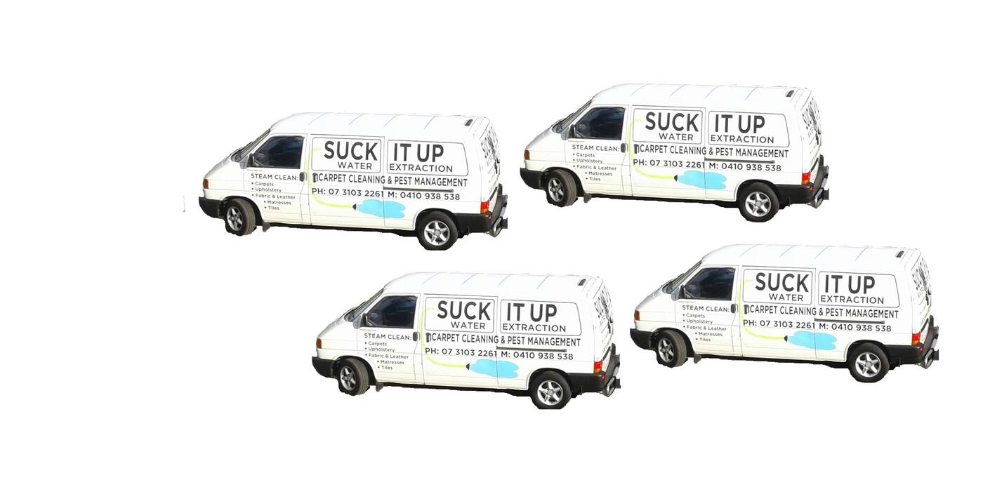 Suck It Up Restoration Solutions - Cover photo
