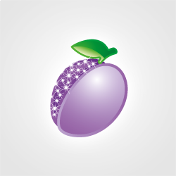 Sugar Plum Photography - Cover photo