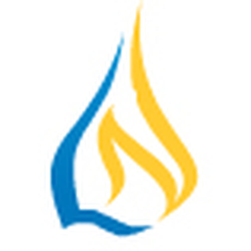 Suman Education Society L. N. College of Commerce & Science (LN COLLEGE) - Logo