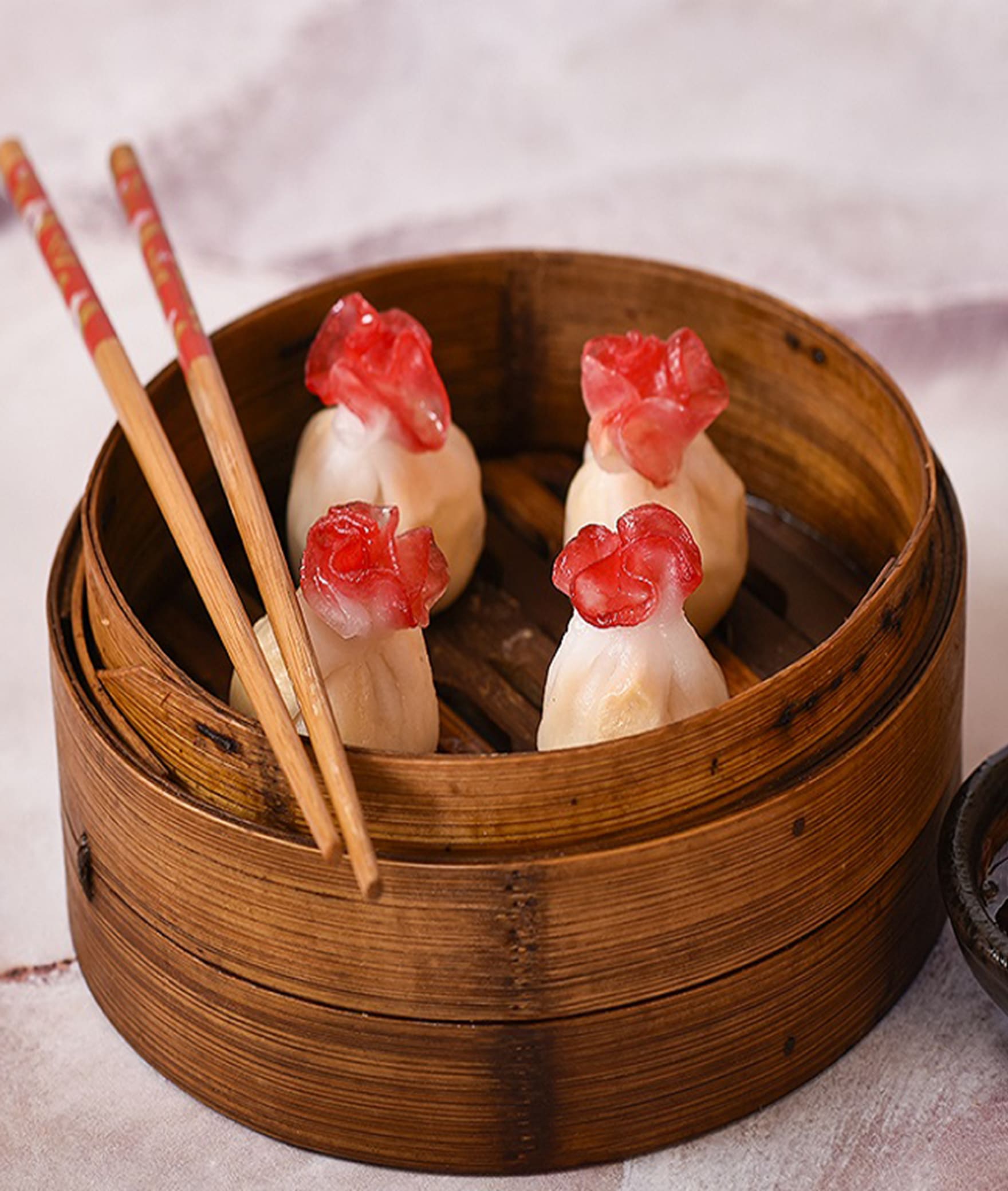 Sumdimsum - Logo