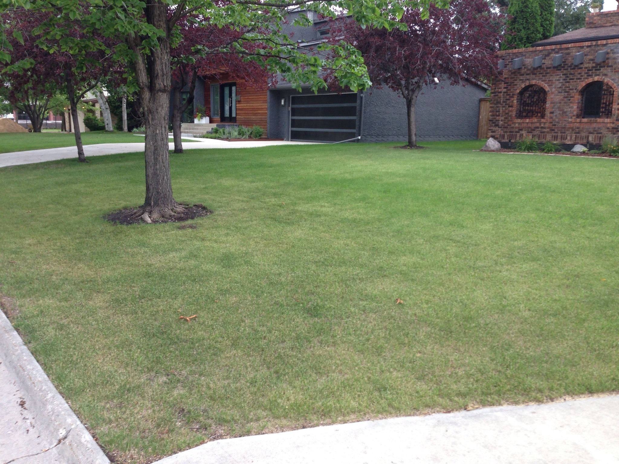 Summer &a; Snow Landscaping - Logo