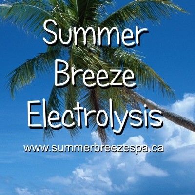 Summer Breeze Electrolysis - Logo
