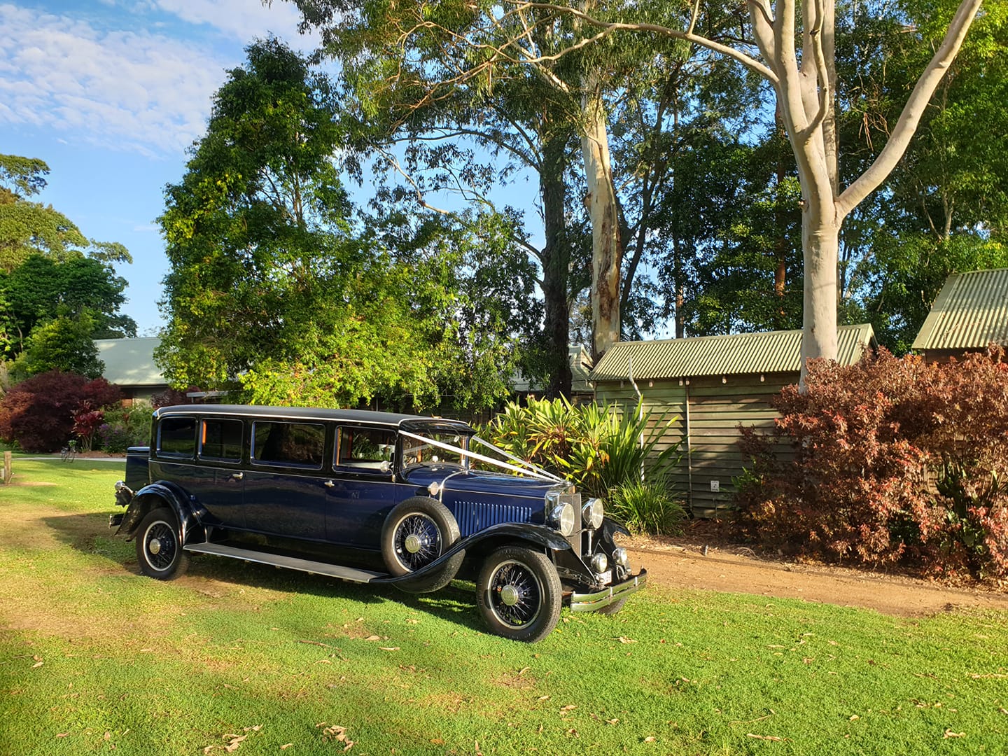 Suncoast Vintage Limousines - Logo