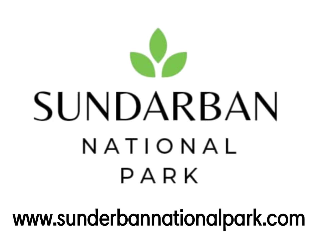 Sunderban National Park Tourism - Cover photo