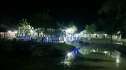 Sunderban Tiger View Point 145882 - Logo