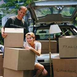 Sunlight Packers And Movers Delhi 138271 - Logo