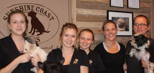 Sunshine Coast Vets - Logo