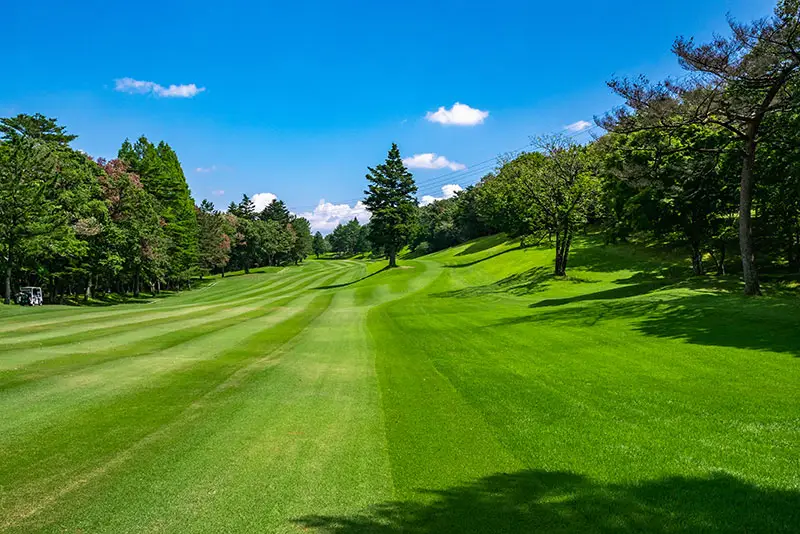 Sunshine Coast Turf - Logo