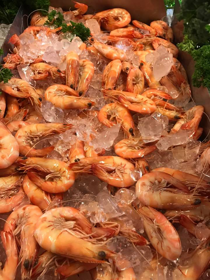 Sunshine Coast Seafood Factory Outlet - Logo