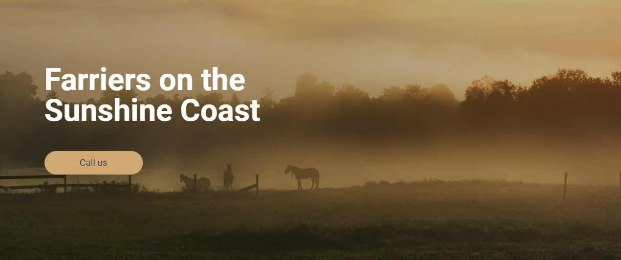 Sunshine Coast Farrier Services - Logo
